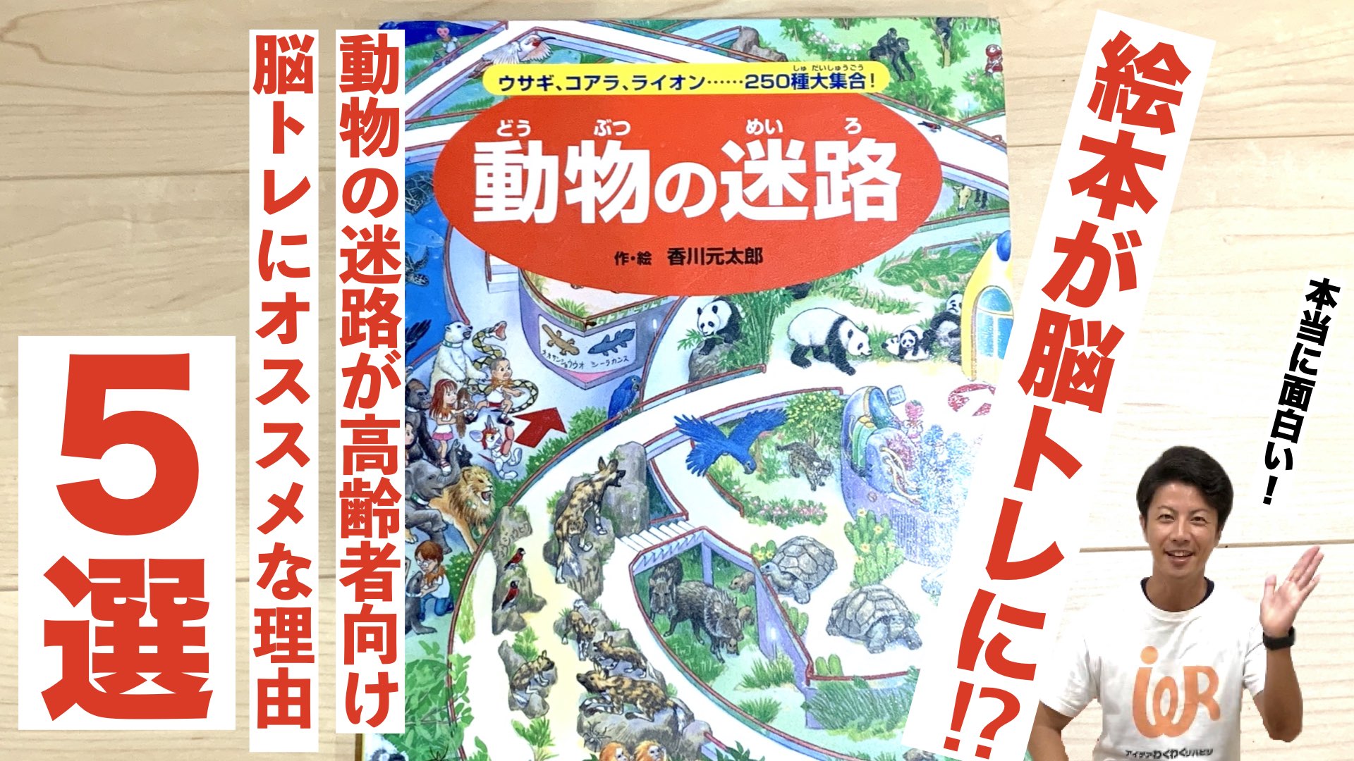 ベストセラー 動物の迷路 が高齢者向け脳トレ レクに オススメな理由5選 アイデアわくわくリハビリ